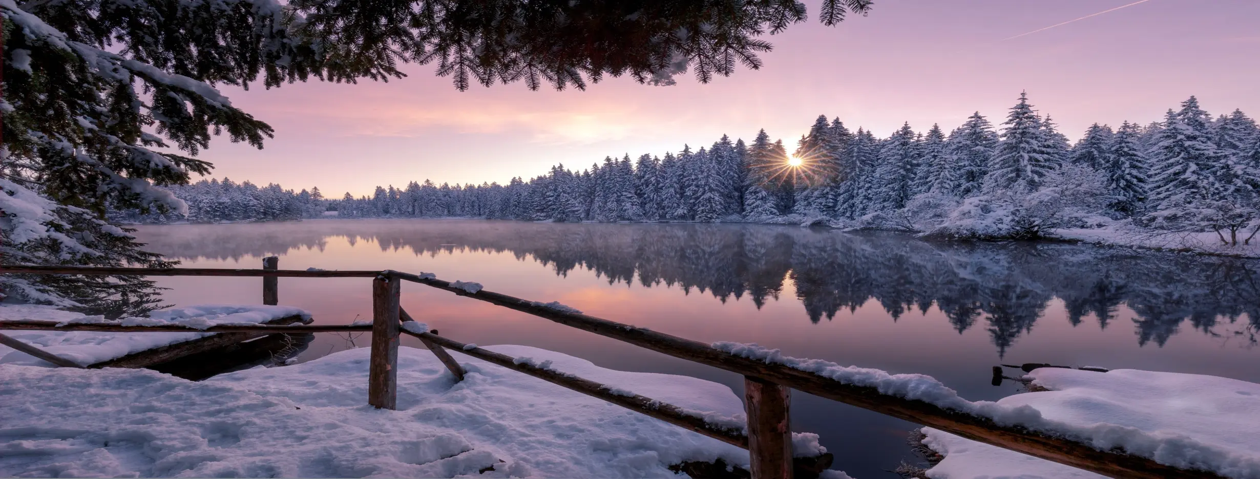 Image for Distinct Seasons